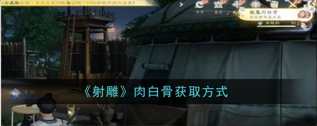 射雕手游肉白骨收集指南:简单互动获取特殊道具