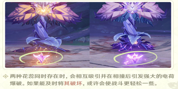 原神3.0掣电树虚极花蕊打法攻略