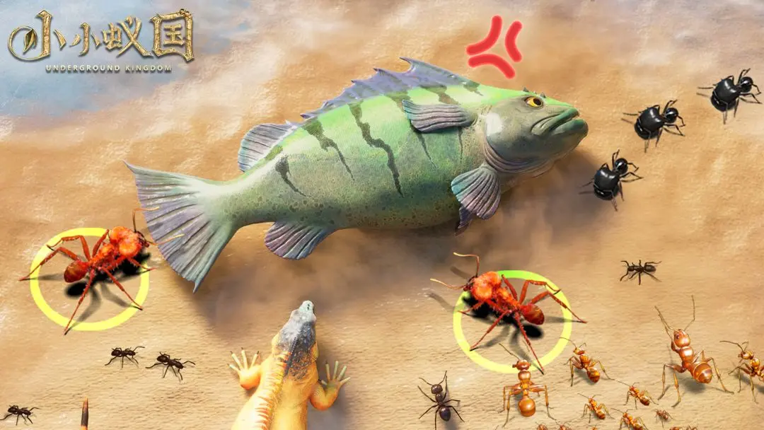 小小蚁国福利码领取及使用全攻略