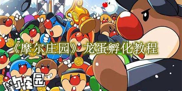 摩尔庄园手游龙蛋孵化全攻略