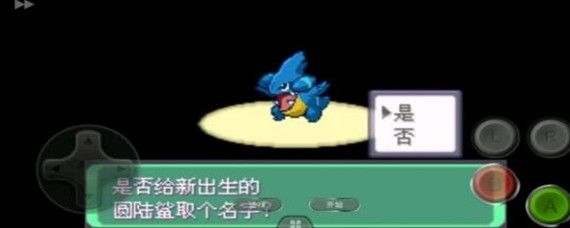 口袋妖怪漆黑的魅影烈咬陆鲨怎么配招