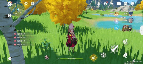 原神落落莓采集全攻略:81个最佳采集路线与实用技巧