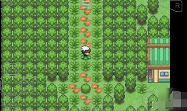 口袋妖怪究极绿宝石小智版甲贺忍蛙获取攻略:详细步骤分享