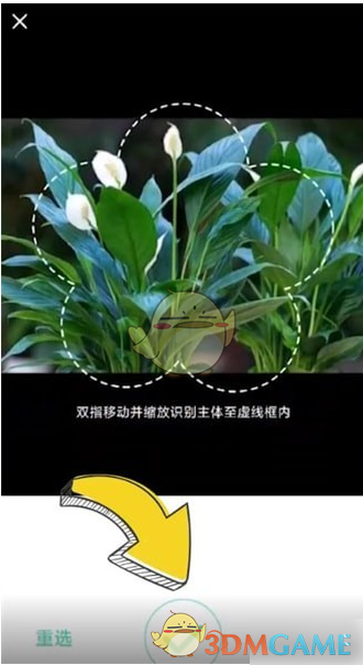 形色APP如何轻松识别植物