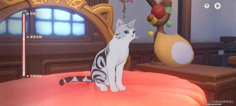 原神兔叽跳跳树屋攻略：茸茸城堡大喵险第二天撸猫指南