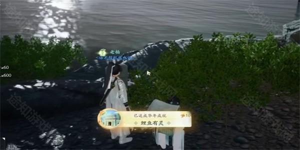 射雕手游鲤鱼有灵怎么获得