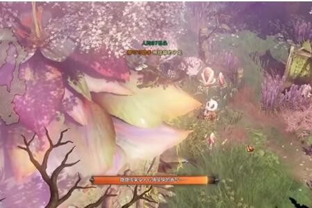 命运方舟风弥之丘九颗摩可可完整位置图解