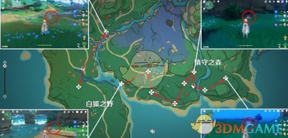 原神4.3绯樱绣球高效采集路线与分布图详解