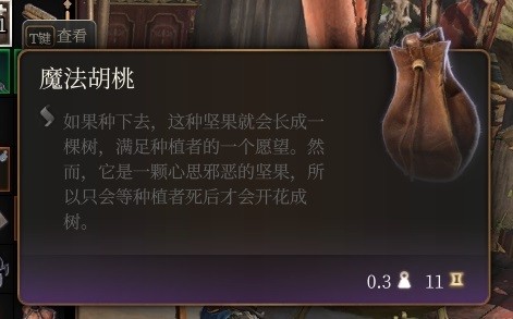 博德之门3马戏团转盘奇葩装备大盘点：这些搞怪道具你抽到了吗？