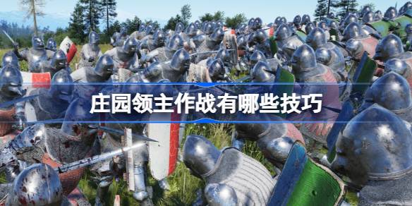 庄园领主作战技巧全解析