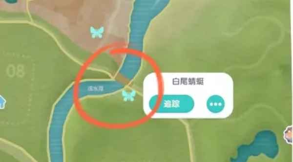心动小镇手游白尾蜻蜓刷新位置全攻略：雨天彩虹天捕捉指南