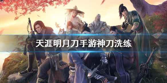 天涯明月刀手游神刀洗练全攻略：属性选择与实战技巧