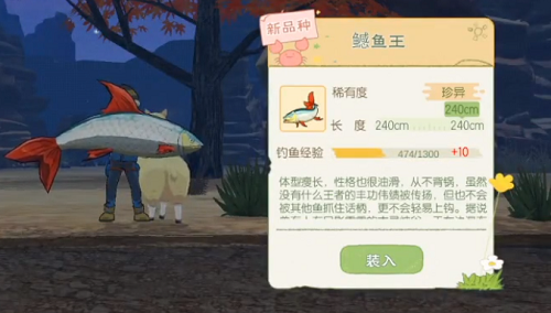 小森生活鳡鱼王的钓法与刷新位置全攻略