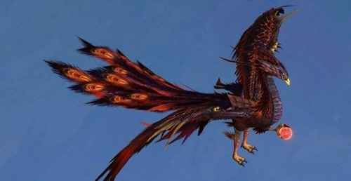 妄想山海金乌养殖指南：值不值得养？