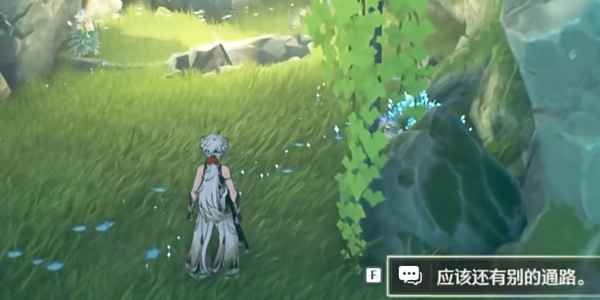 《鸣潮》啸野归城任务攻略：深入山洞的挑战与难点解析