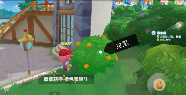 摩尔庄园手游橙色浆果采集位置与地点一览