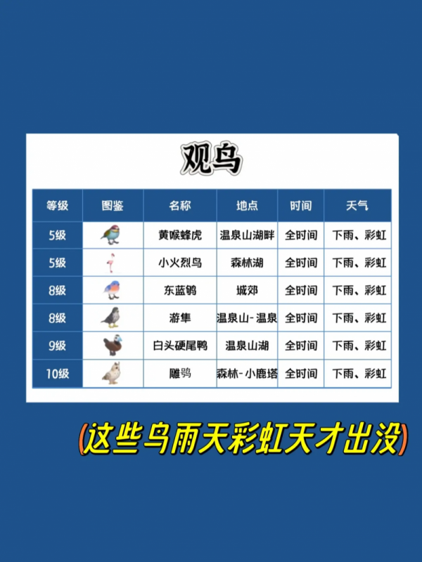 心动小镇雨天玩法全解析：时间、鱼虫、互动与稀有鱼获取指南