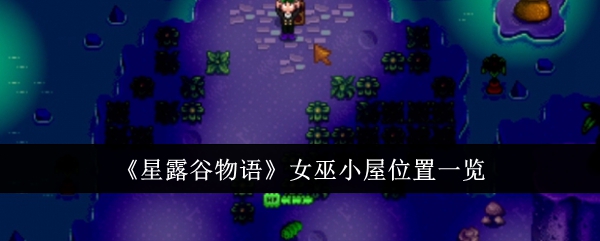 星露谷物语女巫小屋位置与获取方法详解