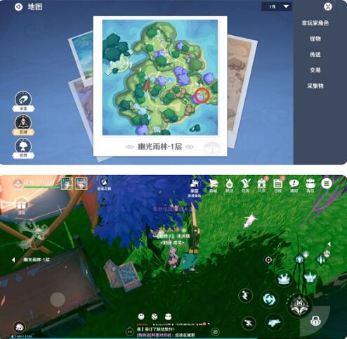 圣境之塔幽光雨林宝箱位置全解