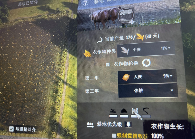 庄园领主种田攻略：关键细节与高效技巧