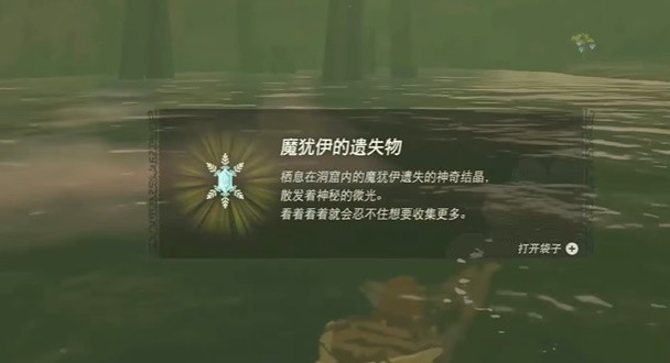 塞尔达传说王国之泪:格鲁德高地鸟望台详细开启步骤指南