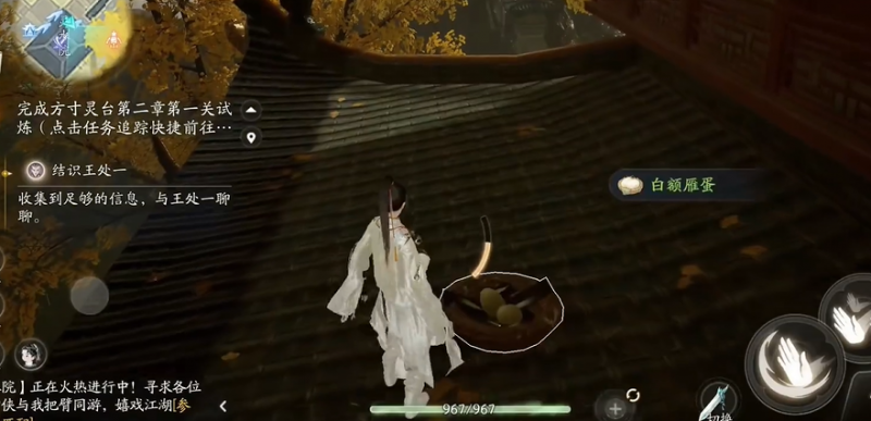 射雕手游白额雁蛋怎么找