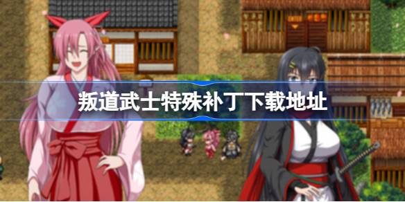 叛道武士特殊补丁下载全攻略