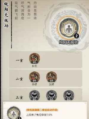 《道天录》纯阳无极功技能深度解析与实战应用指南