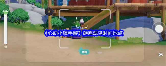 心动小镇手游燕鸥在哪拍照-燕鸥观鸟时间地点：观鸟全攻略