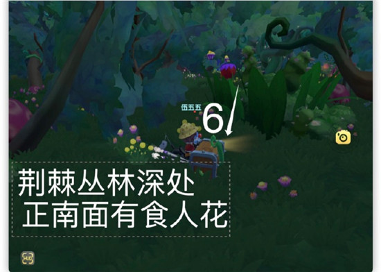 摩尔庄园7.20黑森林宝箱全攻略：位置详解与寻找技巧
