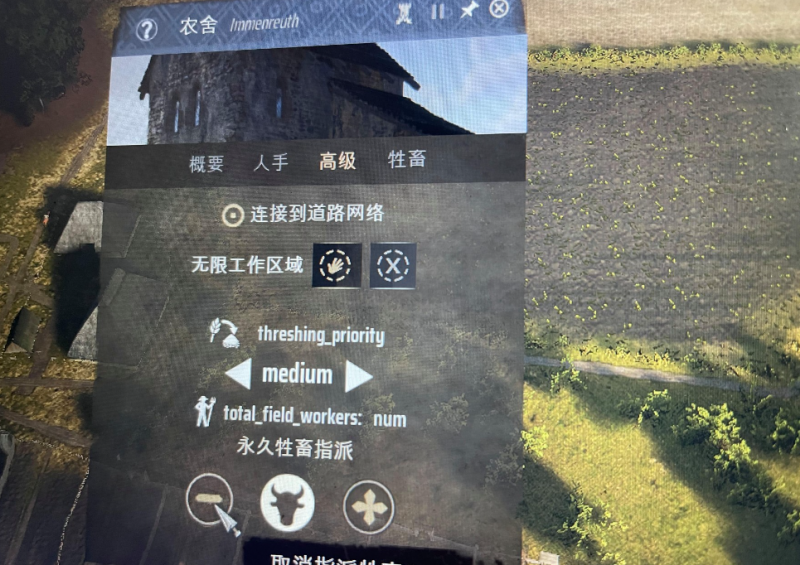庄园领主种田攻略：关键细节与高效技巧