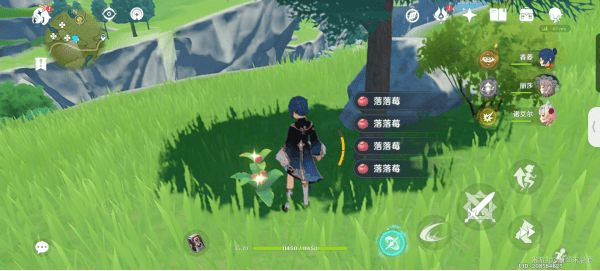 原神落落莓采集全攻略:81个最佳采集路线与实用技巧