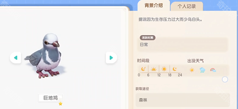 心动小镇巨地鸠何时现身