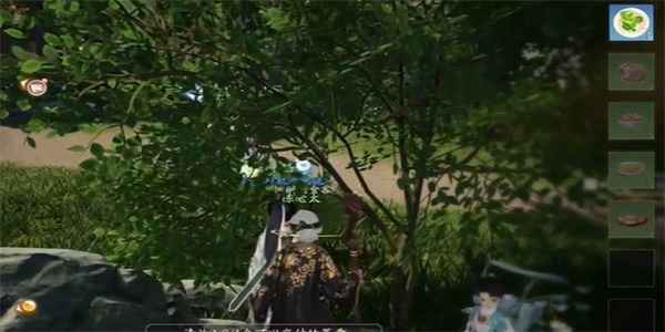 射雕手游红尘戏鱼脍尝鲜任务攻略：轻松完成步骤详解