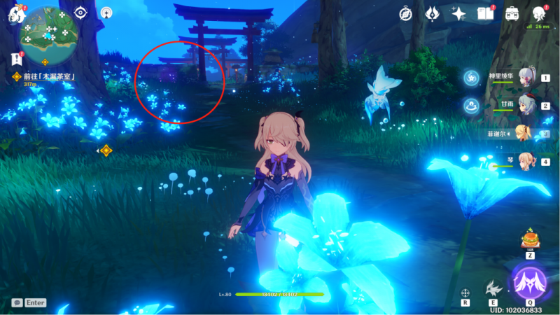 原神绯樱绣球高效采集全攻略：位置图解析与采集技巧