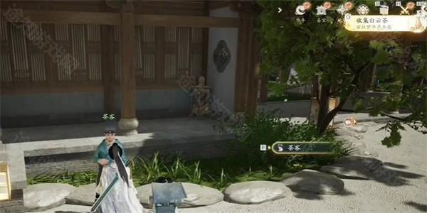 射雕手游白云茶怎么弄到手