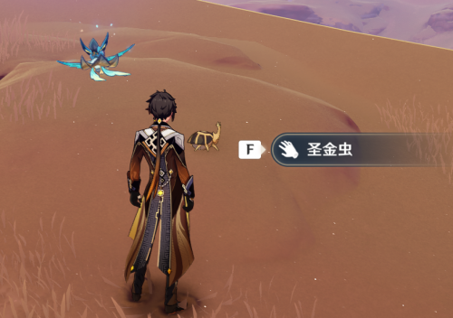 原神圣金虫的采集地点