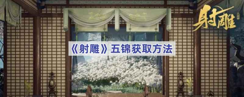 射雕手游五锦获取秘籍：舞池寻鲤全攻略