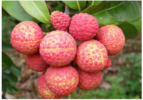 古韵今风：诗中探寻古代“快递员”的奔波身影