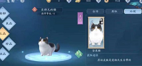 新笑傲江湖手游：肖师兄的猫如何轻松获得