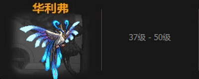 宠物进化全攻略：从伊尔本到华利弗的蜕变之路