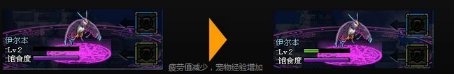宠物进化全攻略：从伊尔本到华利弗的蜕变之路