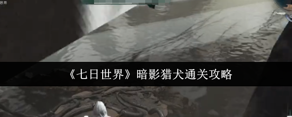 七日世界暗影猎犬通关秘籍：弱点攻略与技巧分享