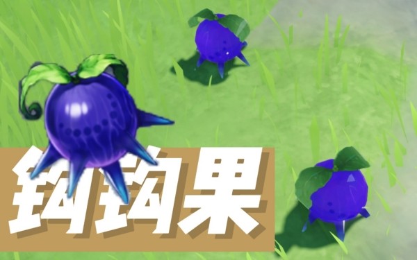 原神钩钩果的购买地点及获取方式汇总