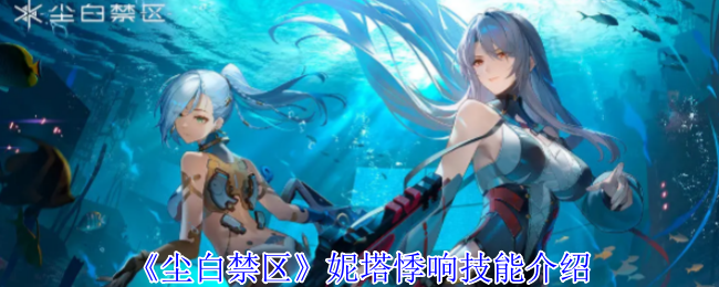 尘白禁区妮塔悸响技能详解：核心机制与强度分析
