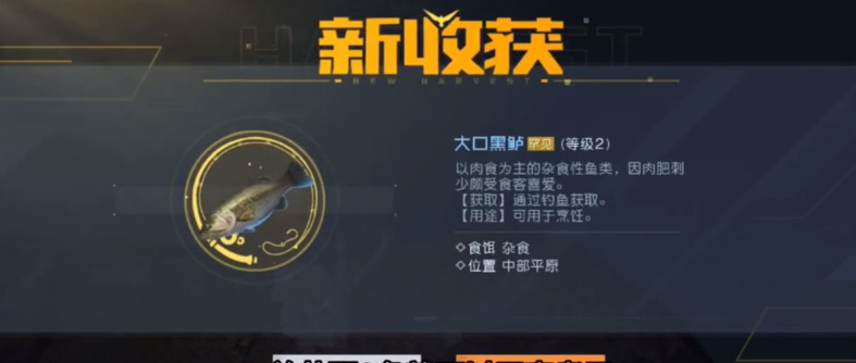 揭秘“黎明觉醒啤酒鲈鱼堡”：名字带啤酒不用啤酒，钓鱼烹饪教程详解