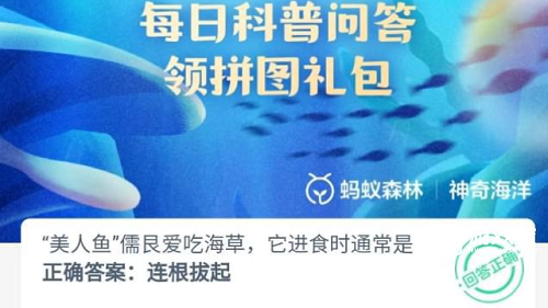 儒艮的饮食习惯及其对海草床的影响