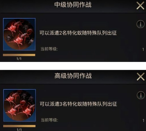 小小蚁国中期进化指南：类型选择与策略推荐