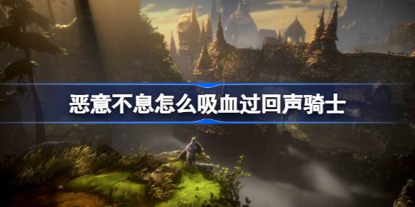 恶意不息吸血过回声骑士的实战心得：装备与技巧全解析