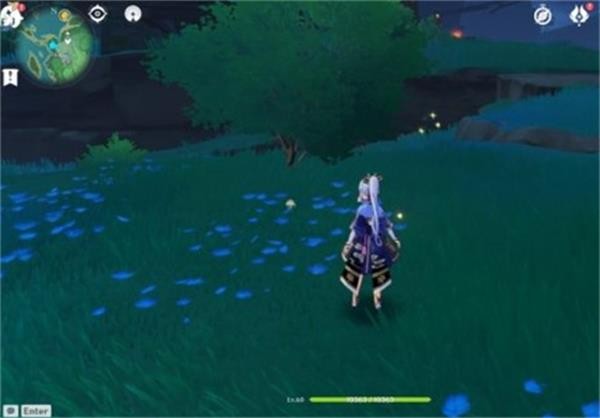 原神鲸井小弟手鞠位置全攻略